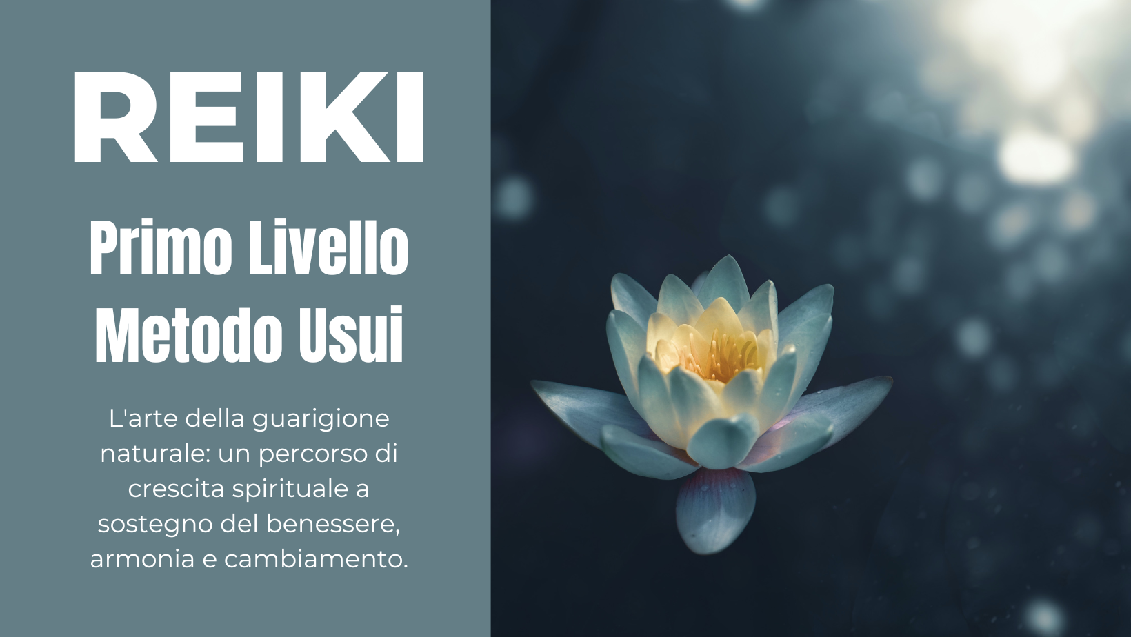 immagine di un fiore di loto che si schiude alla luce e testo relativo al primo livello reiki metodo usui